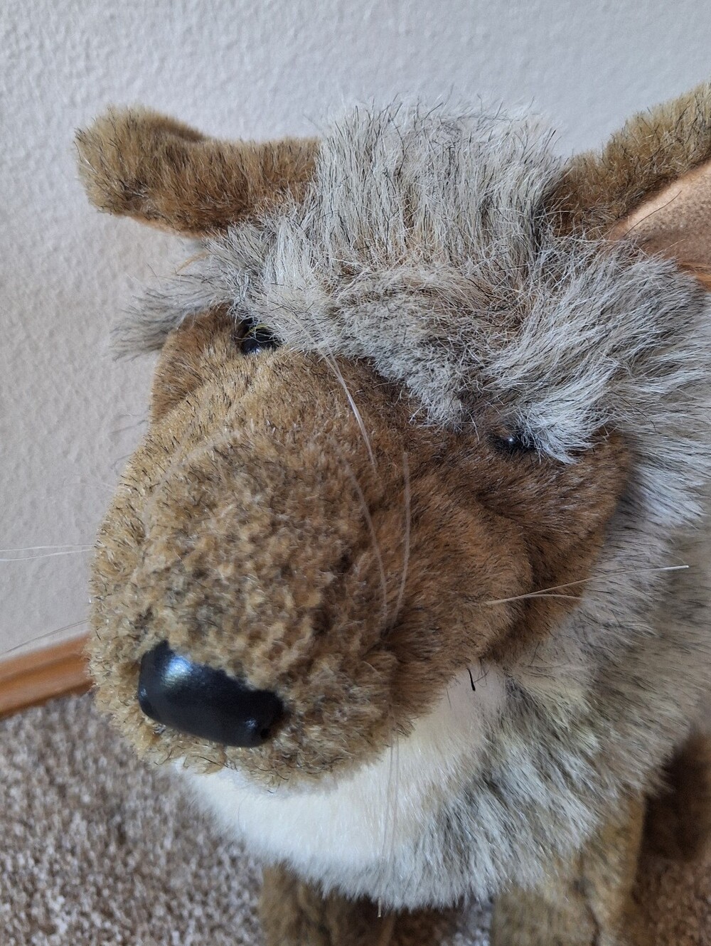 Folkmanis Coyote - Large Full Body Plush 18" Tall Hand Puppet Woodlands Play - Picture 2 of 6